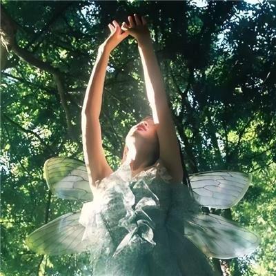 三国演义（动画版）